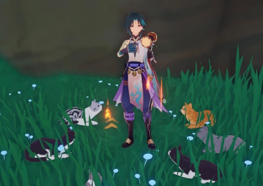 xiaosdaily's tweet photo. conqueror of demons or traveling bard for cats vote now https://t.co/RUqsWwLfHR