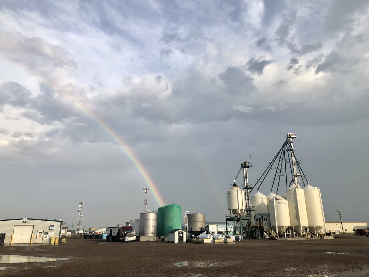 NutrienAgCda's tweet photo. This #FarmLifeFriday is all about #Rainbows. Colourful moments like this are part of what makes #CDNAg so rewarding!

This #FarmLife photo is brought to you by @voss_ag, a Nutrien Ag Solutions manager in Alberta. #LeadingTheField https://t.co/WcE18wICfS