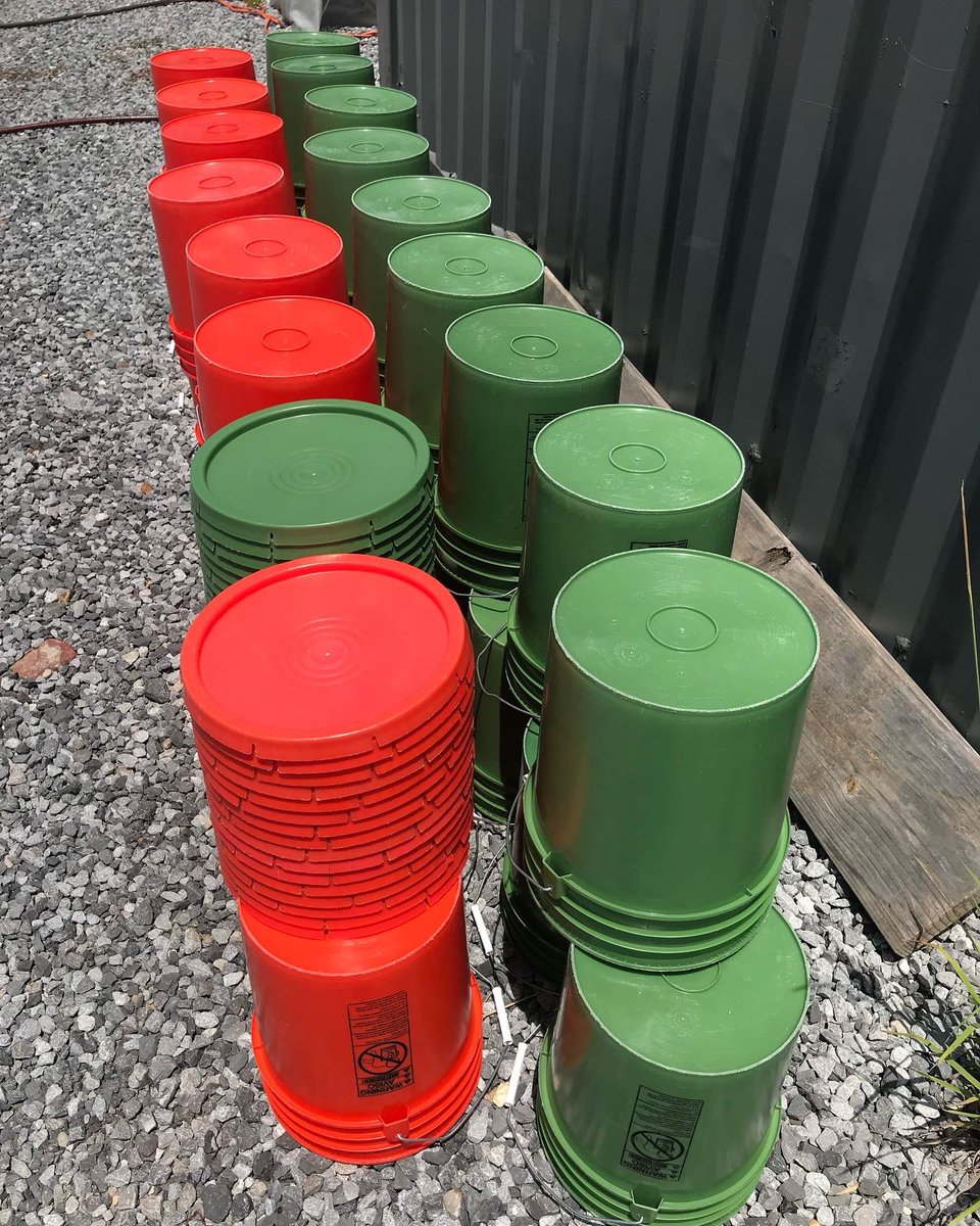 wurmworks's tweet photo. We have #buckets cleaned and ready for your #freshfoodwaste. We also have all the #plantfood that you need to #fertilize #chemicalfree. We have a selection of #plants too. Come see us at the @msfarmersmarket and @jxnflea this #Saturday!

#saturday #jacksonms #mississippi #worms https://t.co/vF0H1dgCsY
