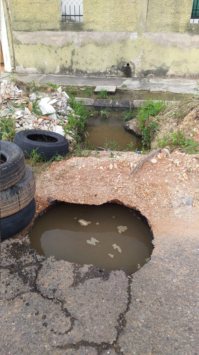 greciawruiz's tweet photo. En las quintas de naguanagua en la Av 96A se encuentra está belleza de hueco, el cual ya tiene descendencia, han la junta comunal con representante de la alcaldía y nada pasa, será que tengo que esperar que se me caiga la casa, son aguas negras que dañan todo @rafaellacava10 https://t.co/zn9JarZ01W