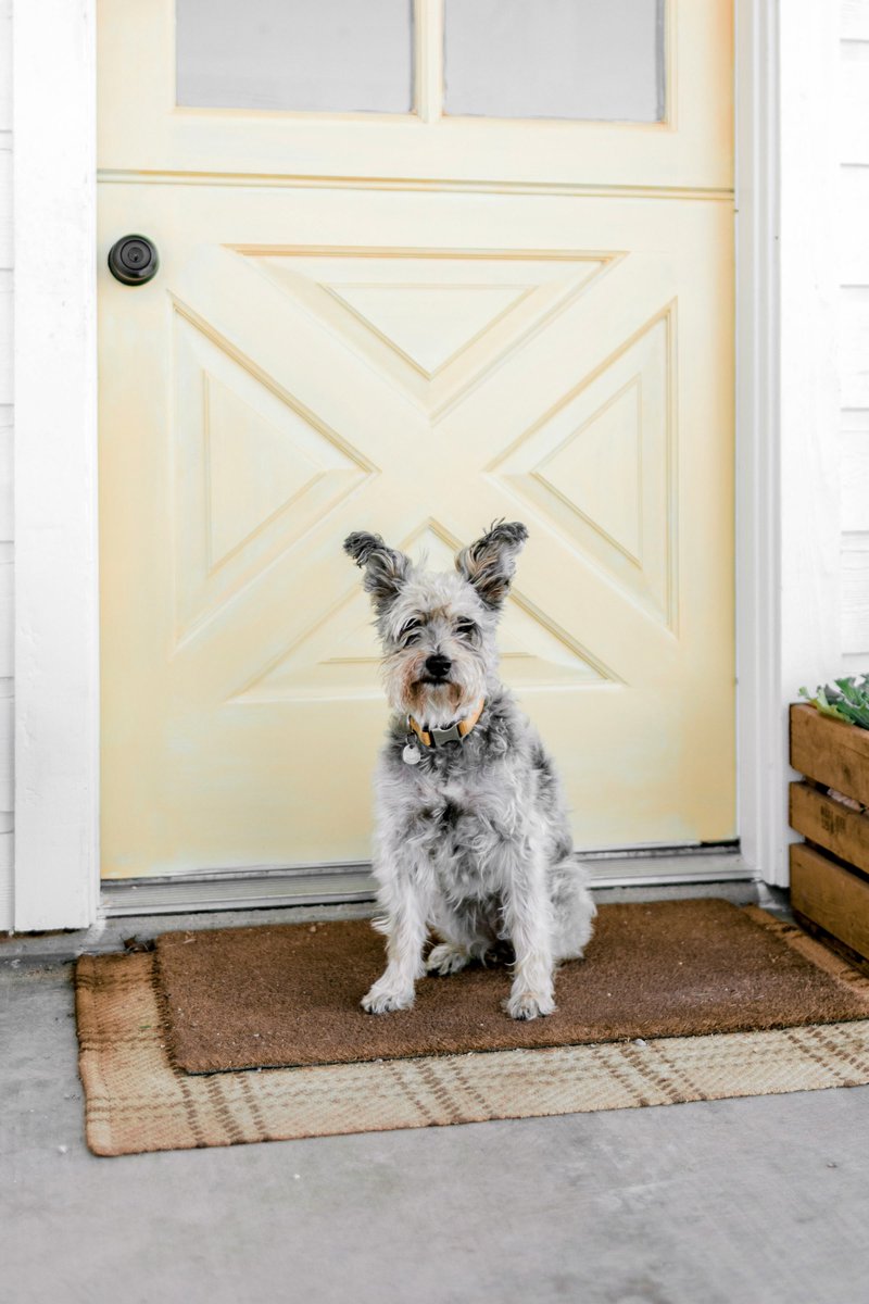 Simpson Door Company tweet media