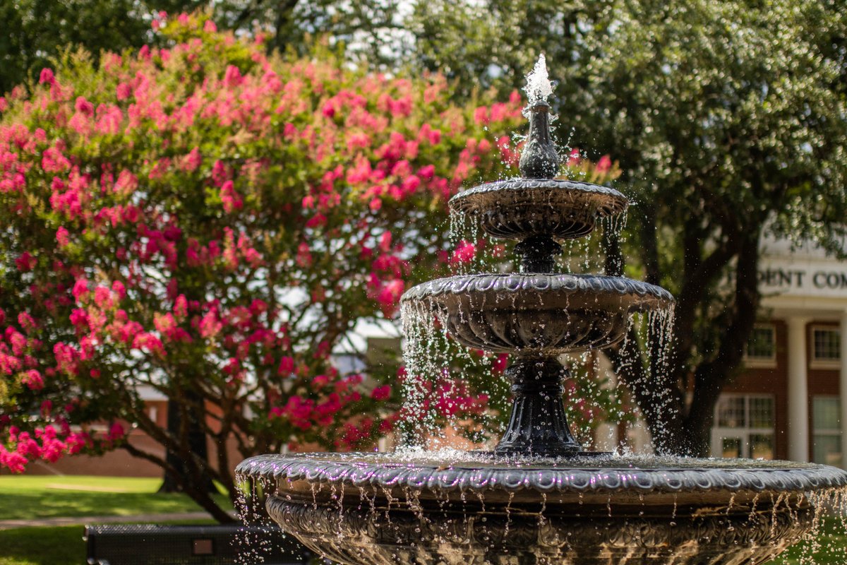 Summer sure is pretty here on the Hill. ☀️ But it's not the same without you, Tigers!
