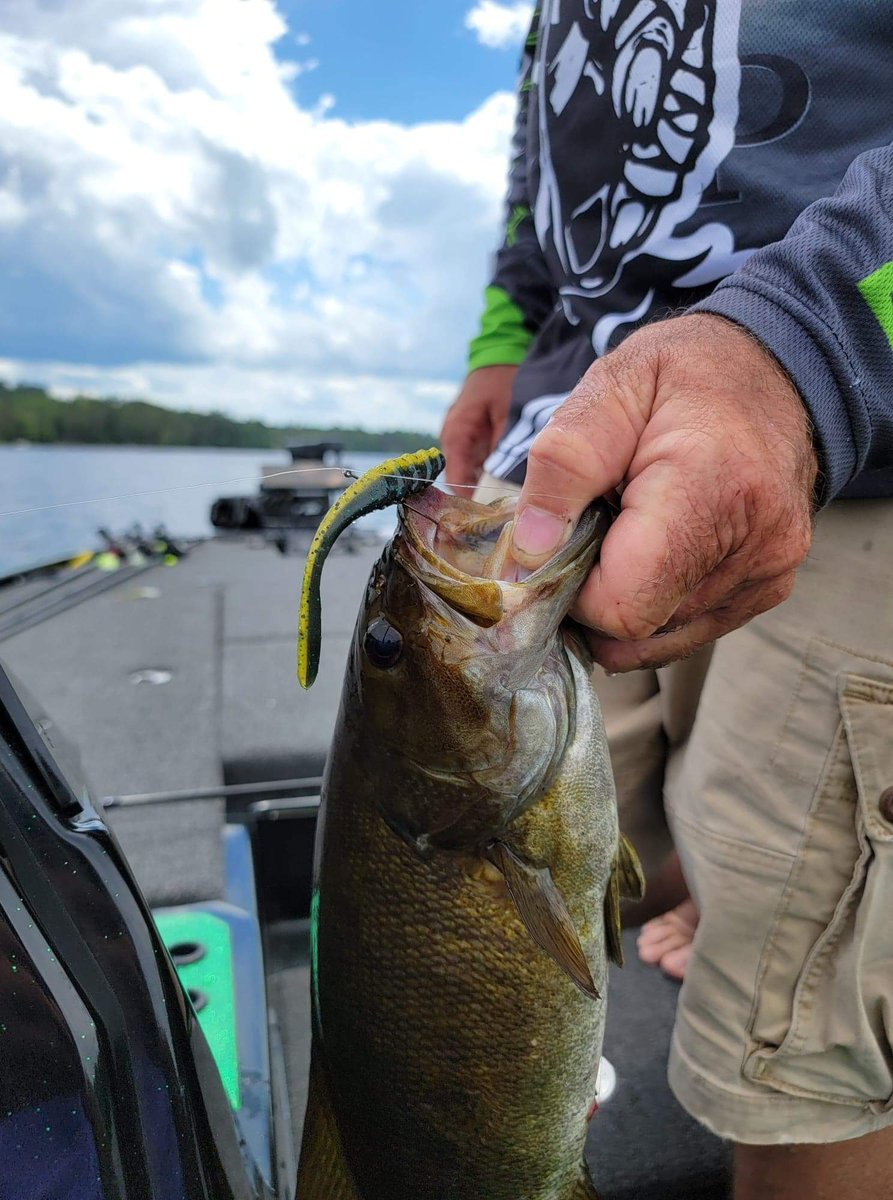 Bassreaperbaits's tweet photo. The Deadshot... hooked where it counts.. @1st____Contact 1/4 Teardrop getting it done. https://t.co/yoUwhGJ8ev