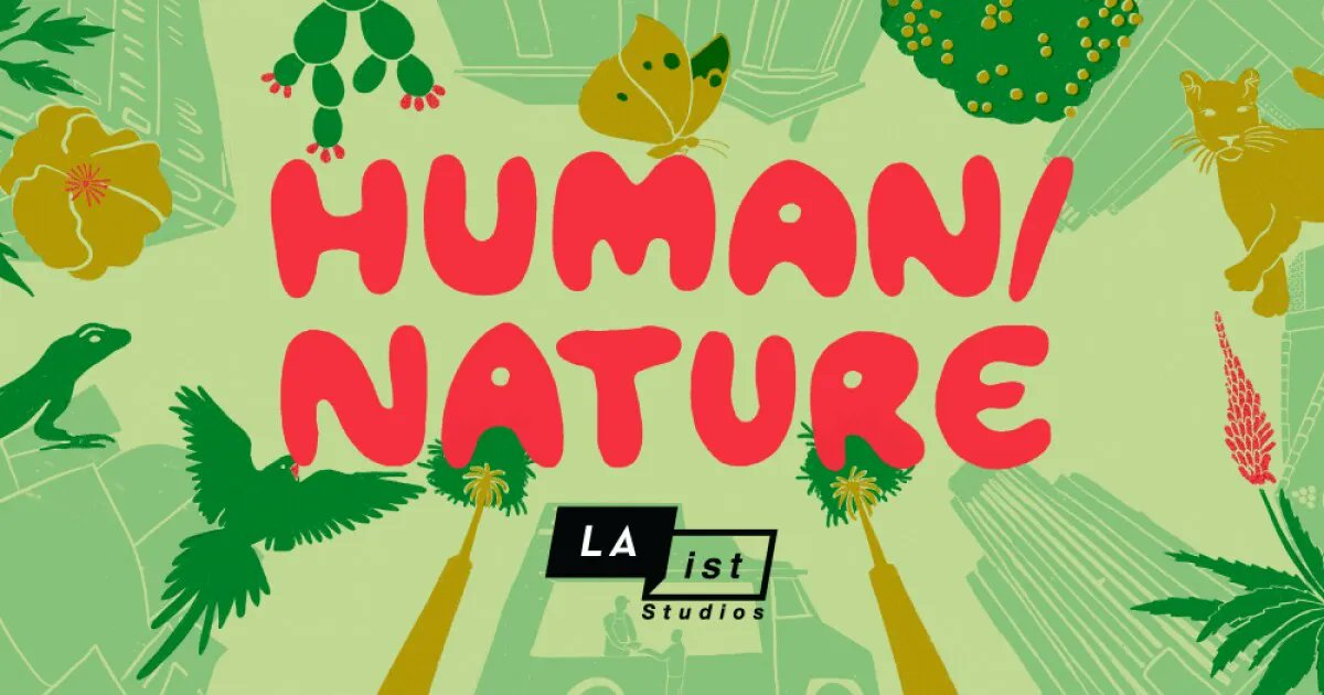 LAist's tweet image. This week, Marcos takes us on a quest to find a small, elusive, endangered bird in the heart of sprawling Los Angeles. Tune in to Human/Nature wherever you get your podcasts! laist.com/podcasts/human…