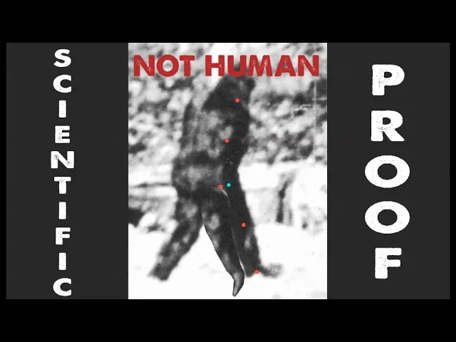 The Bigfoot debate is over as of today. @ThinkerThunker presents scientific proof that Big, Furry Giants (BFGs) exist. Share this video with your “non-believing” friends, educate them, see if they can prove him wrong youtu.be/r8QPkOfL69k thinkerthunker.com/scientific-pro… #Bigfoot #Proof