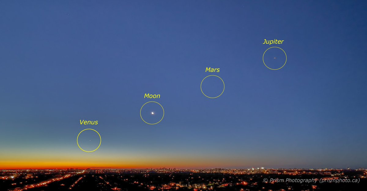 PrismPhotoCA's tweet photo. Planetary alignment above ⁦@Toronto⁩. I was able to see #Venus, #Moon, #Mars and #Jupiter this morning. Other planets are too faint to see or capture. Such a great experience! Absolutely worth to wake up early (and suffer after)! 😅 ⁦@RoyalAstroSoc⁩ ⁦@StormHour⁩ https://t.co/RcPtWMSN7d