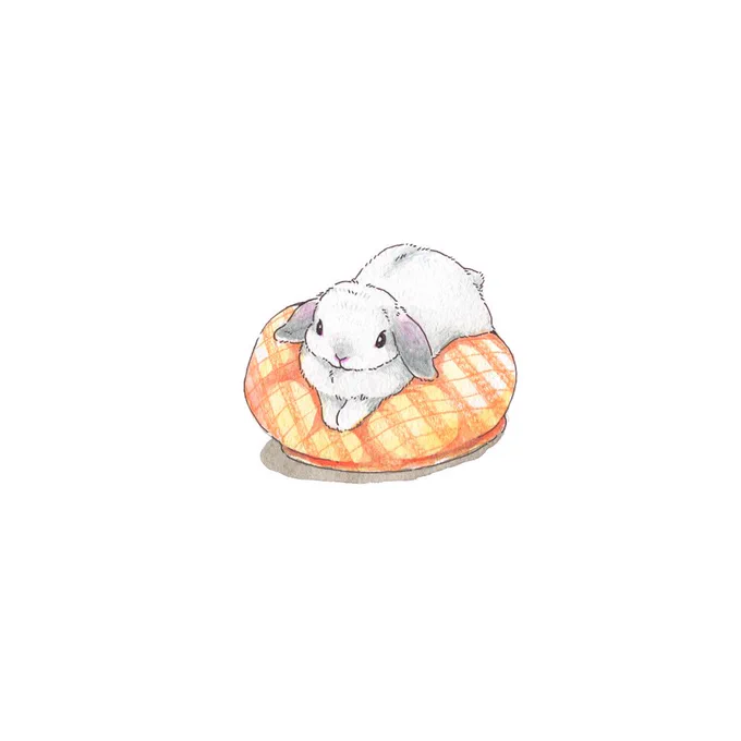 だらだらうさぎさんの

休日 