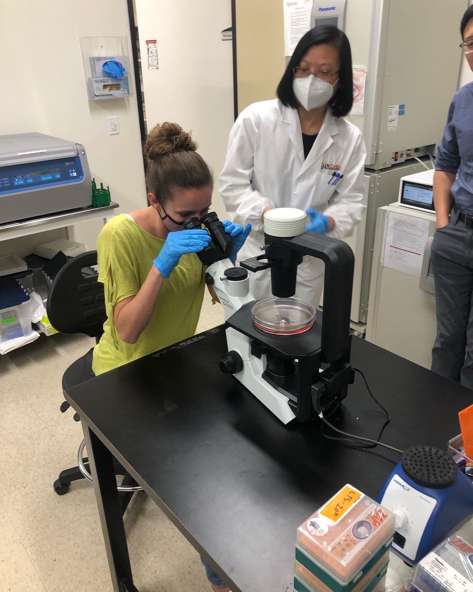 CureKCNH1's tweet photo. Got to tour the lab that’s doing the screening of our ASOs! Very cool to see the actual cell lines that are about to be used to test knockdown of #KCNH1. Huge thanks to @iXCells for hosting us and being so invested in this project!! @PerlaraPBC 
#curekcnh1
#translationalmedicine https://t.co/J0ny5JaBUV