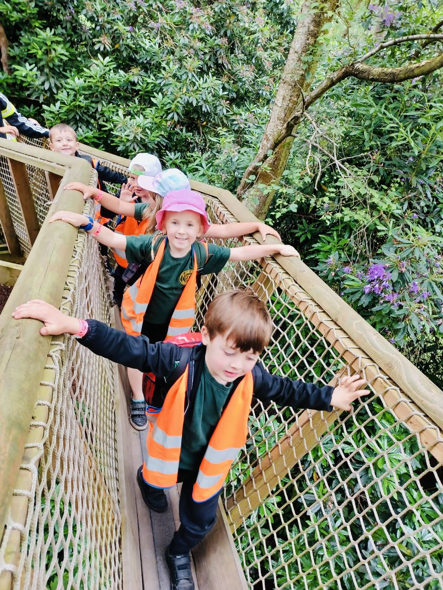 sjvblackpool's tweet photo. Lots of steps walked and lots of climbing high up in the trees 🌳🪵 @BeWILDerwoodCHR #SJVRD #SJVRAH https://t.co/2TpdVQyvMk