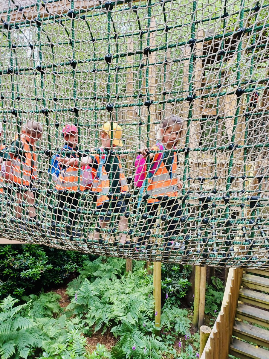 sjvblackpool's tweet photo. Lots of steps walked and lots of climbing high up in the trees 🌳🪵 @BeWILDerwoodCHR #SJVRD #SJVRAH https://t.co/2TpdVQyvMk