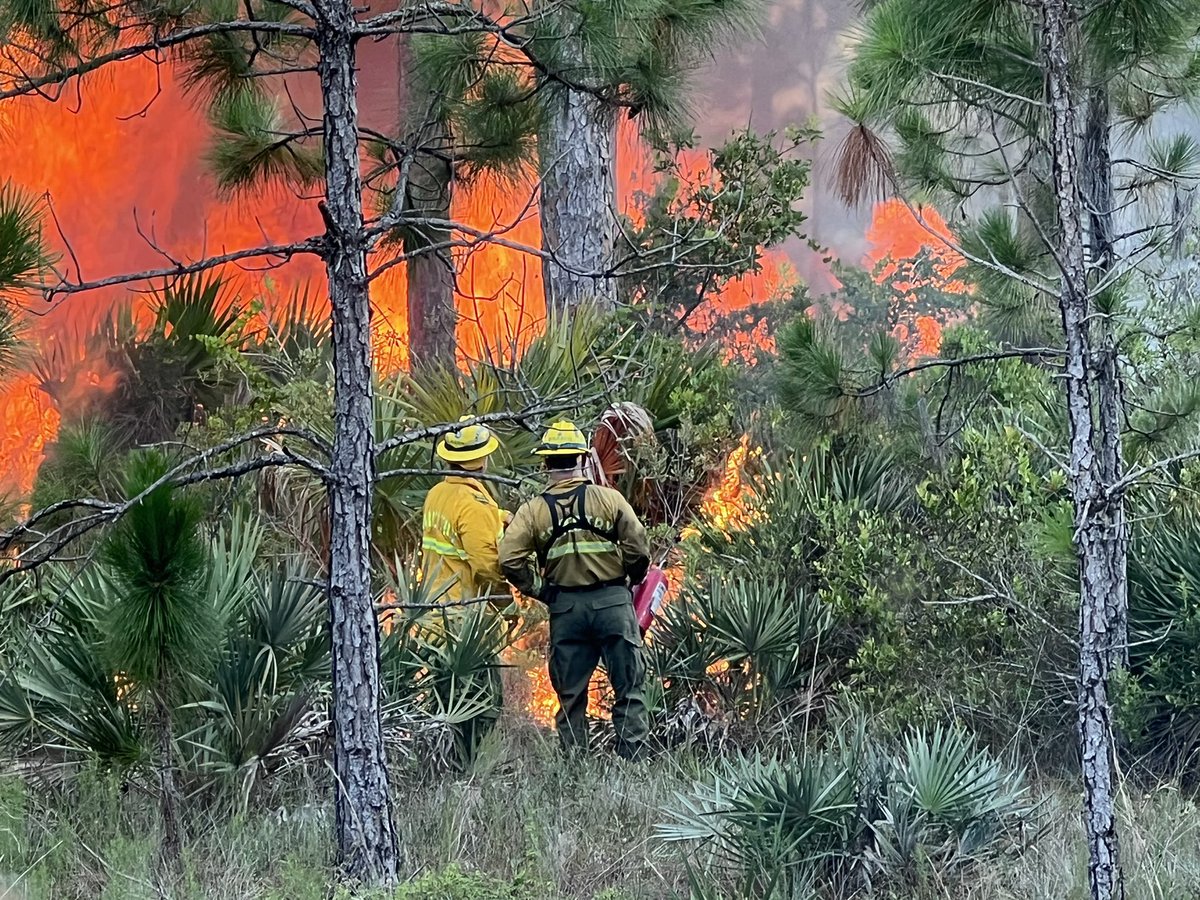 FloridaScanner's tweet photo. #MartinCounty
HAPPENING NOW: BRUSH FIRE - Battalion 2 units on scene of a brush fire in Palm City. No structures are in danger, at this time. @FLForestService is on scene with our units actively containing the fire. #brushfire #heroes
#FloridaPoliceScanner https://t.co/FykyROCP93