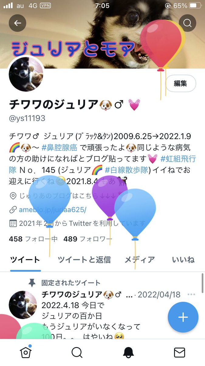 ys11193's tweet photo. みんなおはよう(◎ω◎)

今日は ジュリアのお誕生日😚🤝
虹の橋でみんなとウマウマたべてるかな🥺🤝
 #チワワ  #虹の橋  #お誕生日  #犬好きな人と繋がりたい https://t.co/6Zq3d8Mo7t