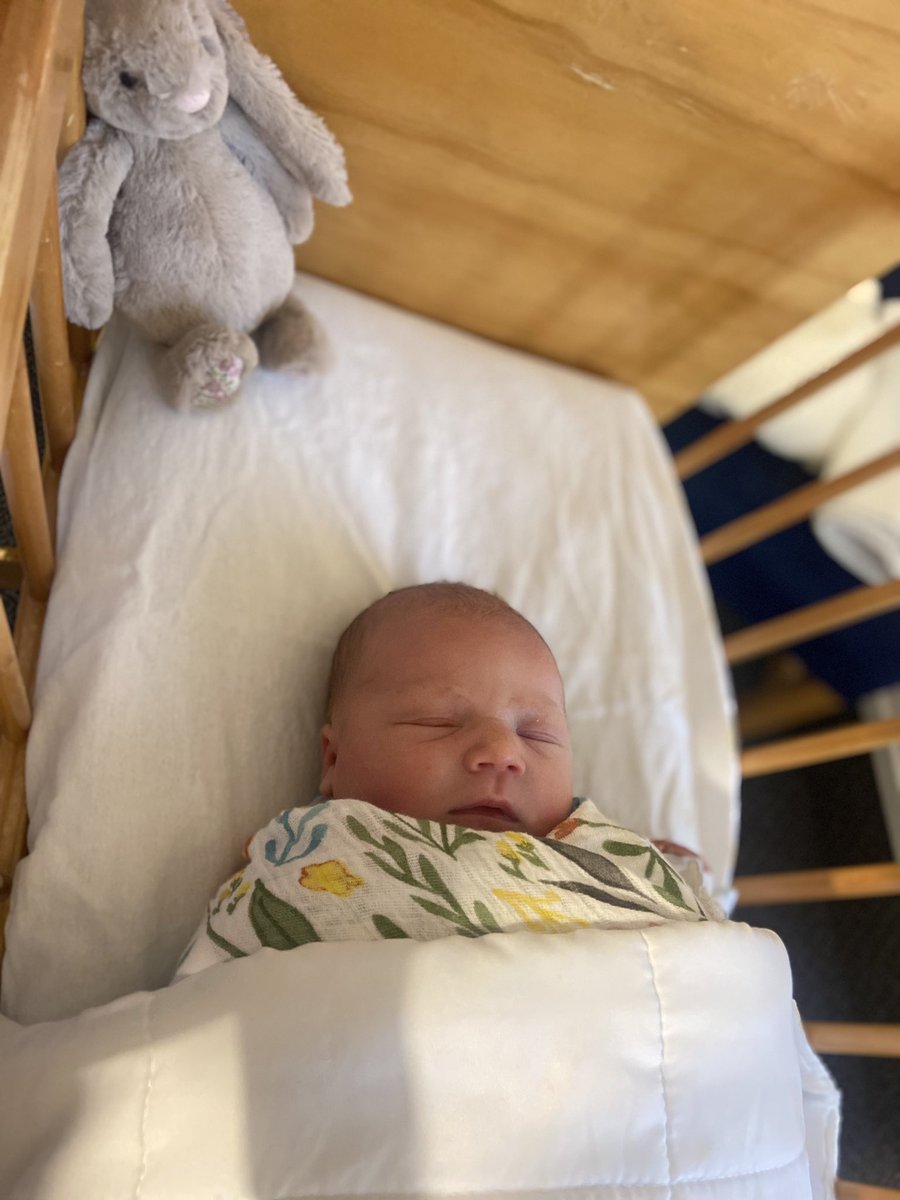 Nicky Preston tweet media