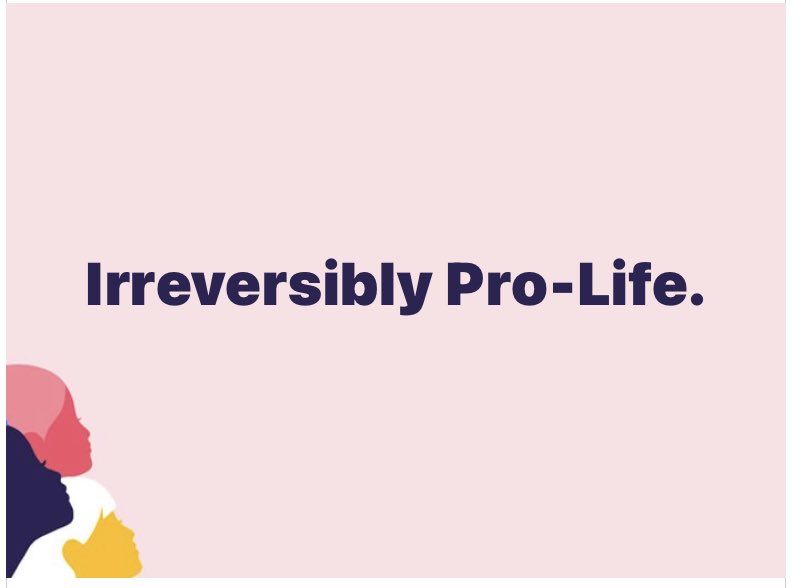 prolifenyc's tweet photo. #IrreversiblyProLife. #ProLifeNYC #PatriotNYC1 https://t.co/83poYN7HDY