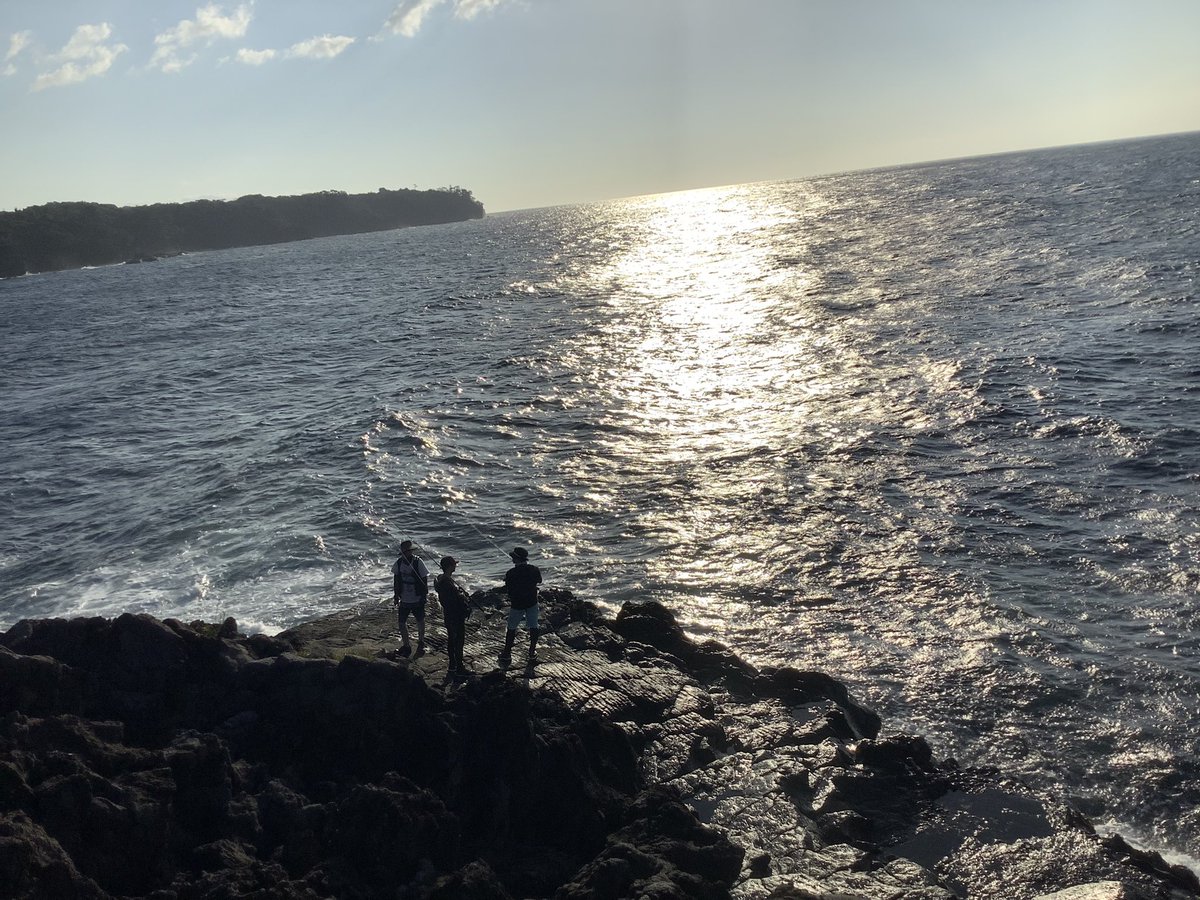 satoyamabanzai's tweet photo. おはようございますo(^-^)o

🌴伊豆高原、現在の気温２６℃☀️晴れ。

朝から🌞陽射しが強いです。

今日は、暑くなりますね💦

今朝は風が強いので釣りは止めて、ウォーキング行ってきました♪

Have a wonderful holiday🐬✨

＃mastermaind🇺🇸

#shepherd🇯🇵 https://t.co/SbsCdYt0Fw