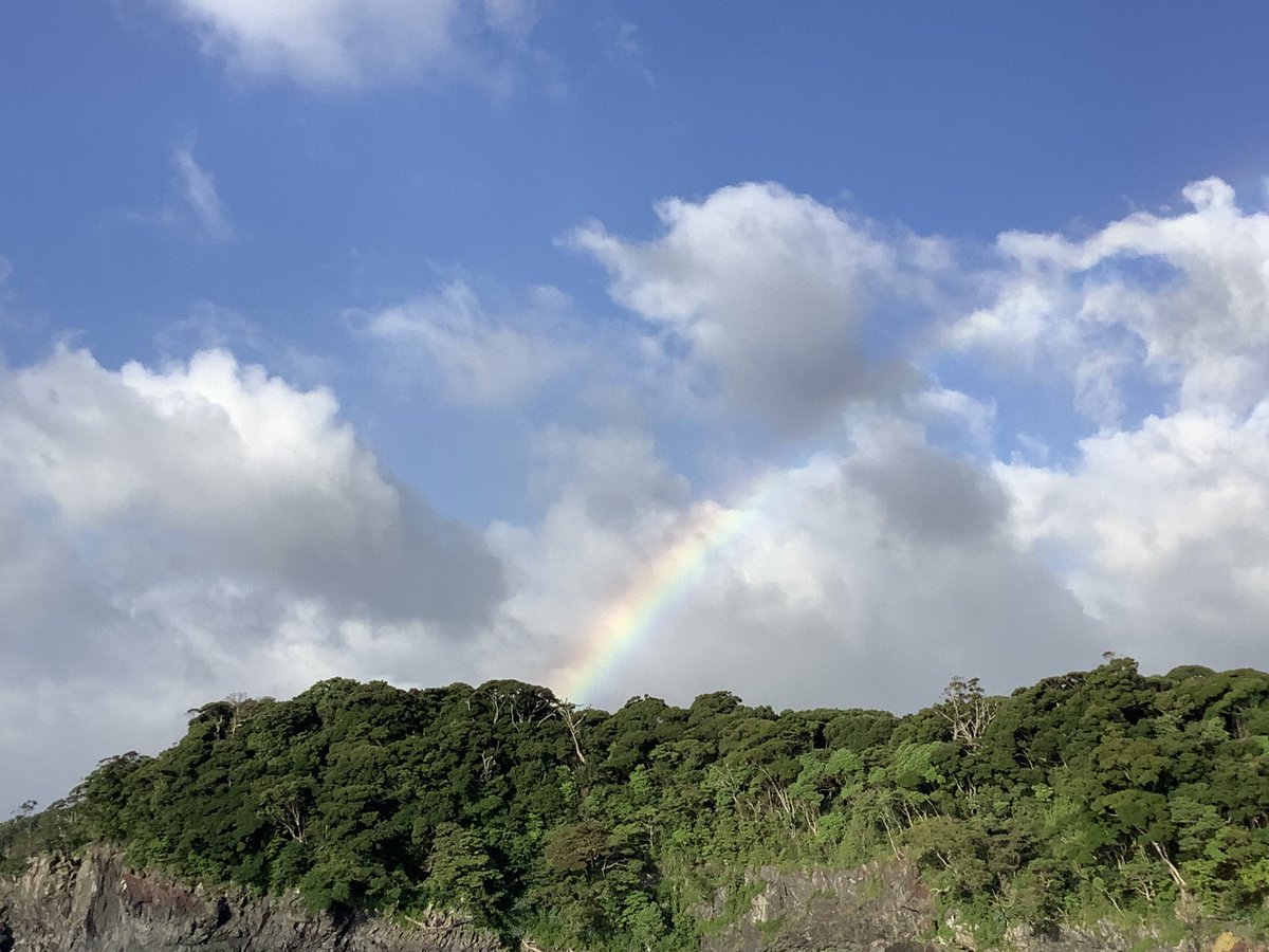 satoyamabanzai's tweet photo. おはようございますo(^-^)o

🌴伊豆高原、現在の気温２６℃☀️晴れ。

朝から🌞陽射しが強いです。

今日は、暑くなりますね💦

今朝は風が強いので釣りは止めて、ウォーキング行ってきました♪

Have a wonderful holiday🐬✨

＃mastermaind🇺🇸

#shepherd🇯🇵 https://t.co/SbsCdYt0Fw