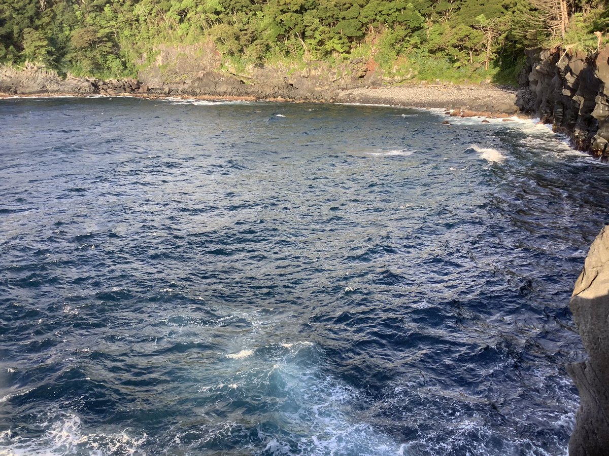 satoyamabanzai's tweet photo. おはようございますo(^-^)o

🌴伊豆高原、現在の気温２６℃☀️晴れ。

朝から🌞陽射しが強いです。

今日は、暑くなりますね💦

今朝は風が強いので釣りは止めて、ウォーキング行ってきました♪

Have a wonderful holiday🐬✨

＃mastermaind🇺🇸

#shepherd🇯🇵 https://t.co/SbsCdYt0Fw