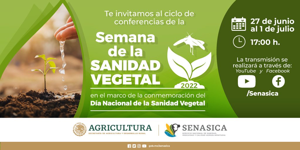 SENASICA's tweet photo. Las plantas constituyen el 80% de los alimentos que comemos 🌱🥬🥕🌽
¿Quieres conocer más sobre #SanidadVegetal? Del 27 de junio al 01 de julio tenemos una cita conmemorar la Semana Nacional de la Sanidad Vegetal #CDMXdeVerde #PorlaSanidadVegetal
https://t.co/QjugjUy0iS https://t.co/4vgSH3ZlEj