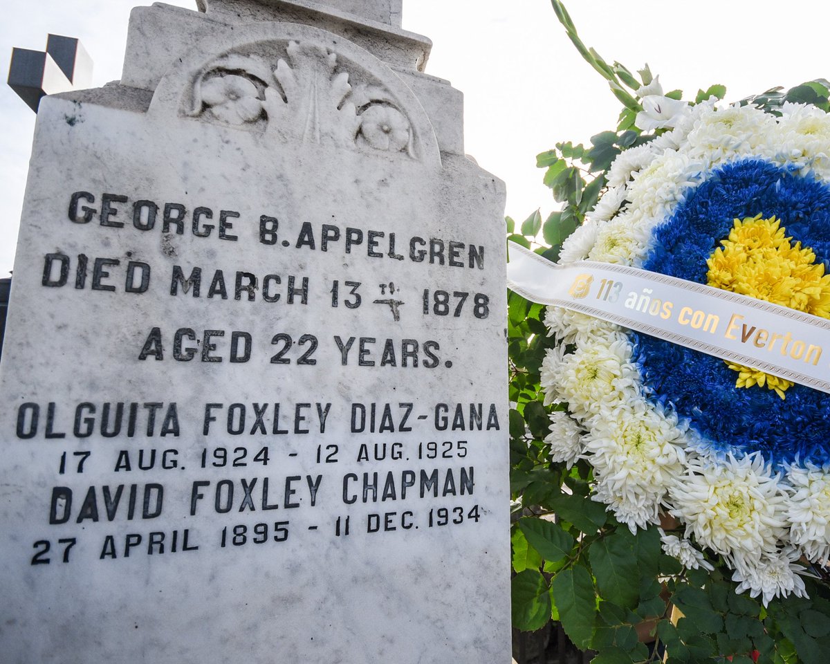 evertonsadp's tweet photo. https://t.co/5tSNDOpa7p