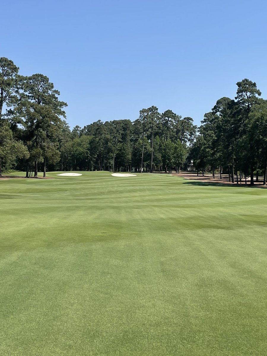 Over 60 days without any rain and extreme temperatures. The staff continues to impress me with their commitment to perfection. Zeon is showing out and holding up great.