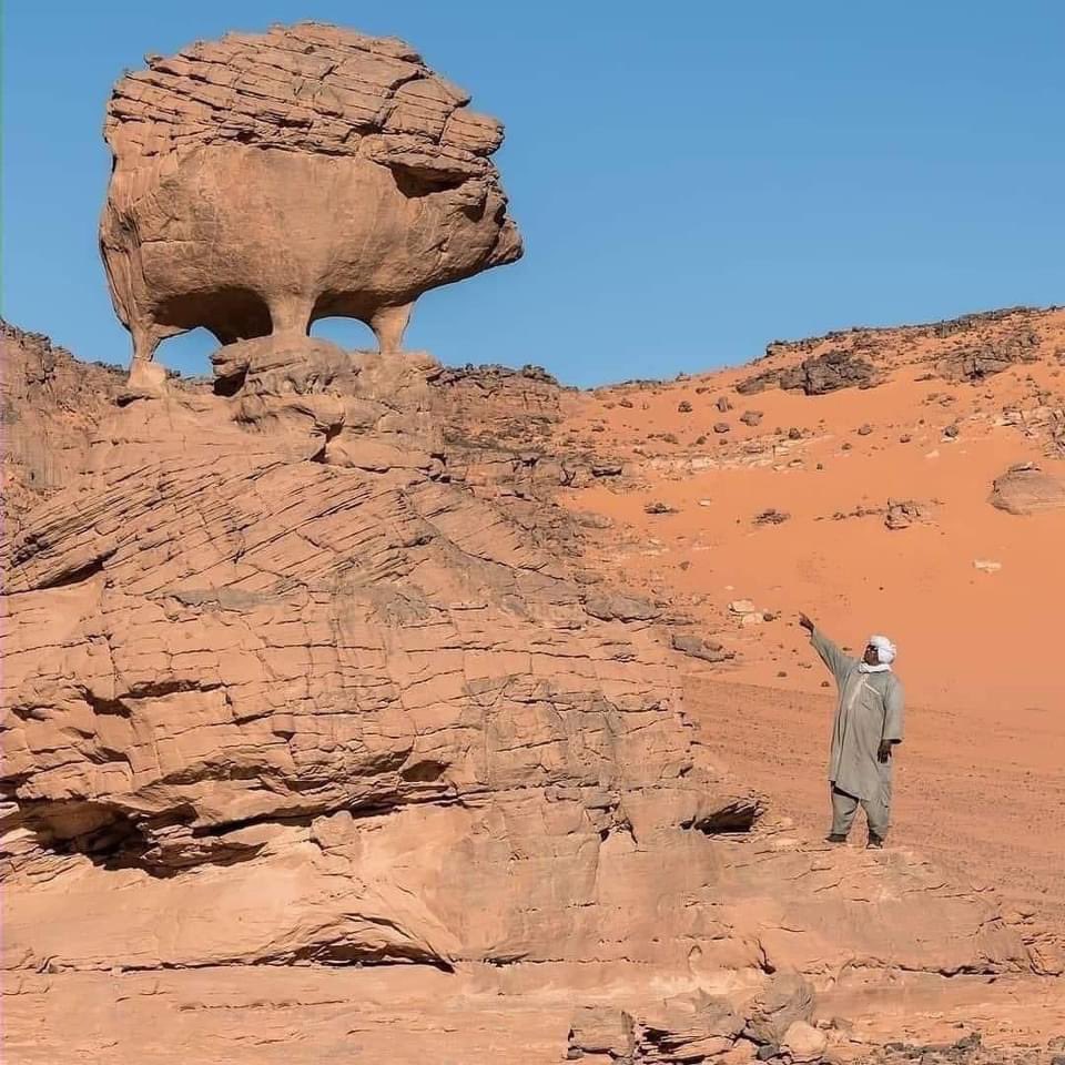 s_continent's tweet photo. هذه الصخرة تسمى صخرة (القنفذ) وتقع في هضبة طاسيلي ناجر، في الجزائر ✌️🌴🇩🇿 https://t.co/c1m25Js1Xo