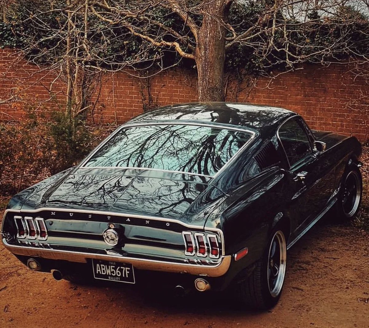 Check out this first gen moss green #fastback owned by @cwdutoit #classicmustang #mustangsofinstagram #mustangpodcast #americanmuscle #driveclassics #musclecar  