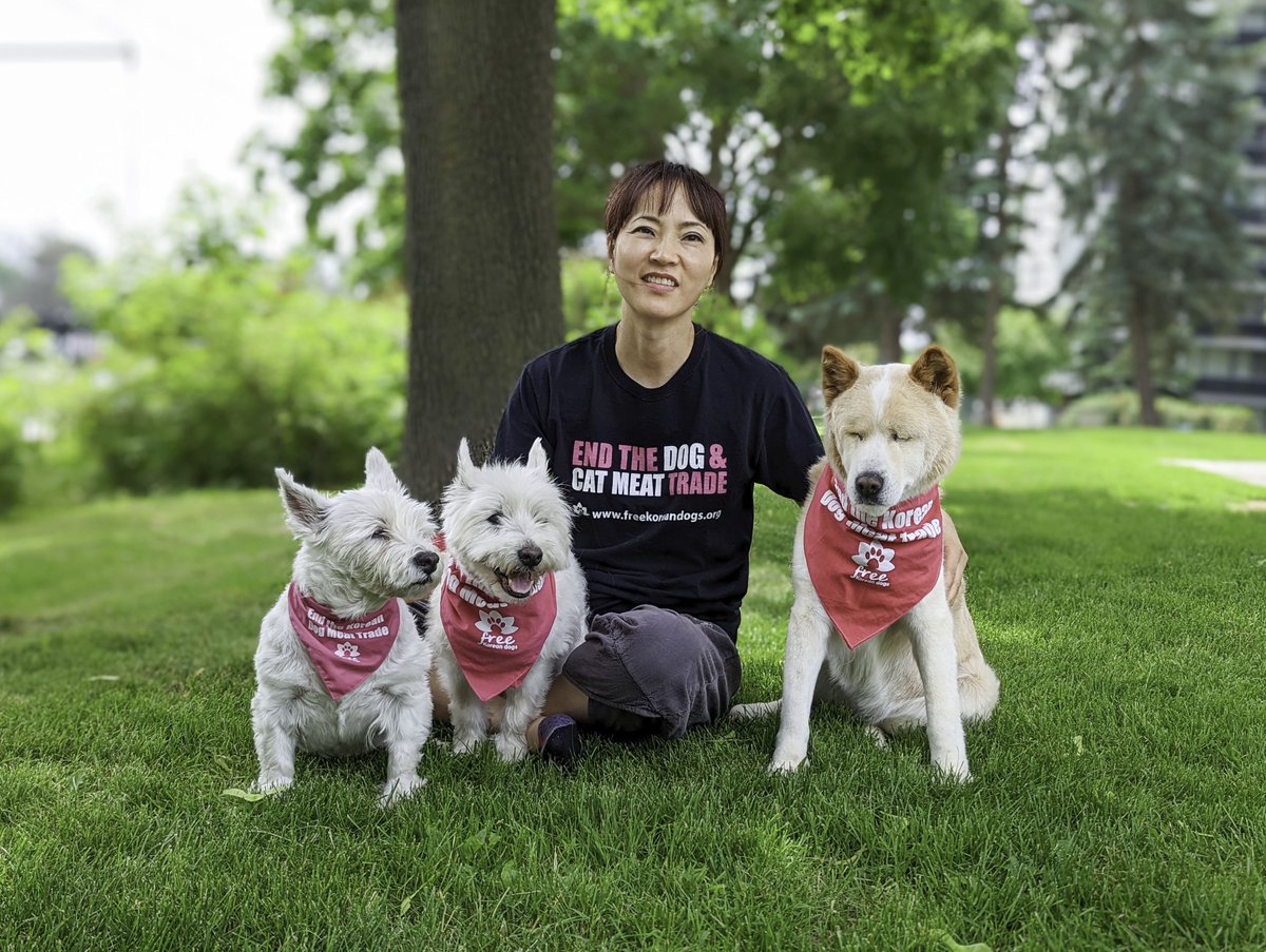 Freeing Korean dogs, one overseas adoption at a time / Twitter