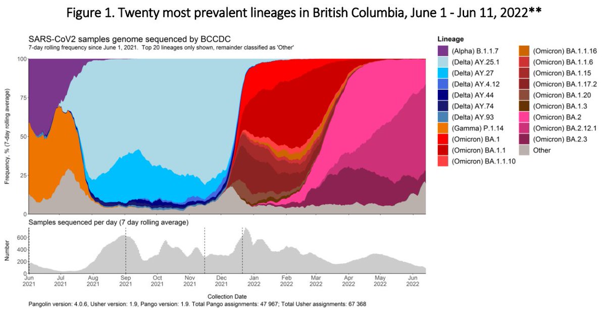 Greaterfoolvan (r/Coronavirus_BC) tweet media