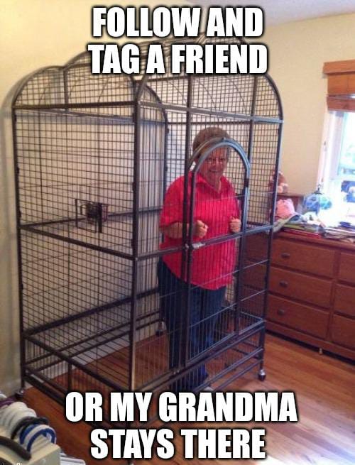 The REKT Collection tweet media