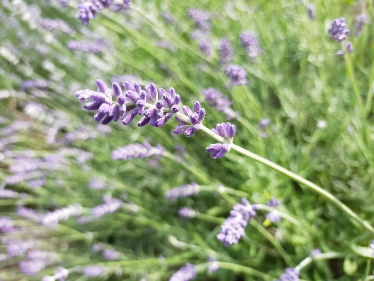 cryptoskeleton1's tweet image. gm〜☠