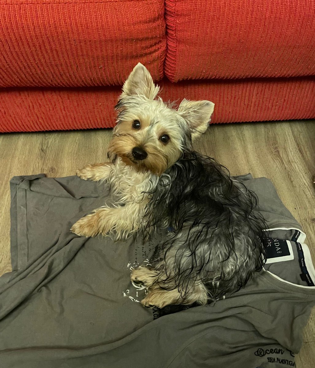Jimmylots's tweet photo. Mi gran compañero!!! Se robó la polera jajaja https://t.co/a4JadNw5TS