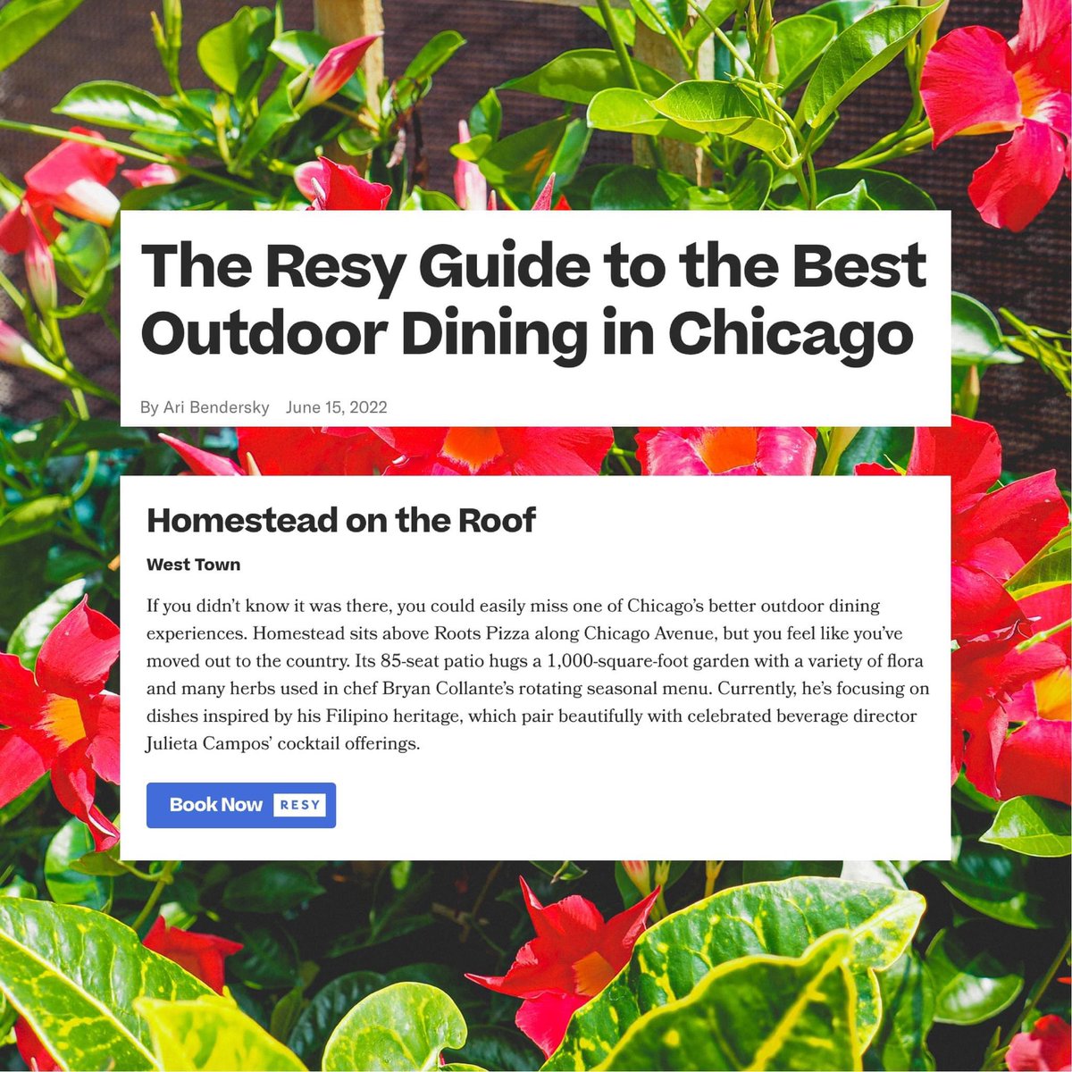 Homestead_Chi's tweet image. Thank you for the feature, @resy! 🌺
Book your table on our outdoor patio or indoor dining room! resy.com/cities/chi/hom…