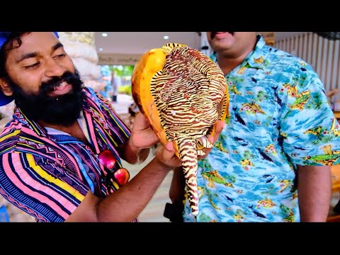 newindianmovies's tweet photo. Cooking Big Snail | ഭീകര ശങ്കിനെ ചുട്ടു കഴിച്ചപ്പോൾ | M4 Tech | https://t.co/MRmtciRAq1 https://t.co/5WjtmZpOae