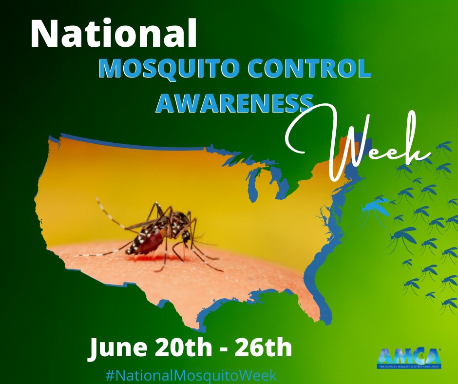 WADeptHealth's tweet photo. Mosquito bites don’t have to ruin your day outside. Get the right repellant for your family. https://t.co/cUYxRFlENc #NationalMosquitoWeek #MosquitoControl #MosquitoControlAwarenessWeek https://t.co/mJHPaPtiXx