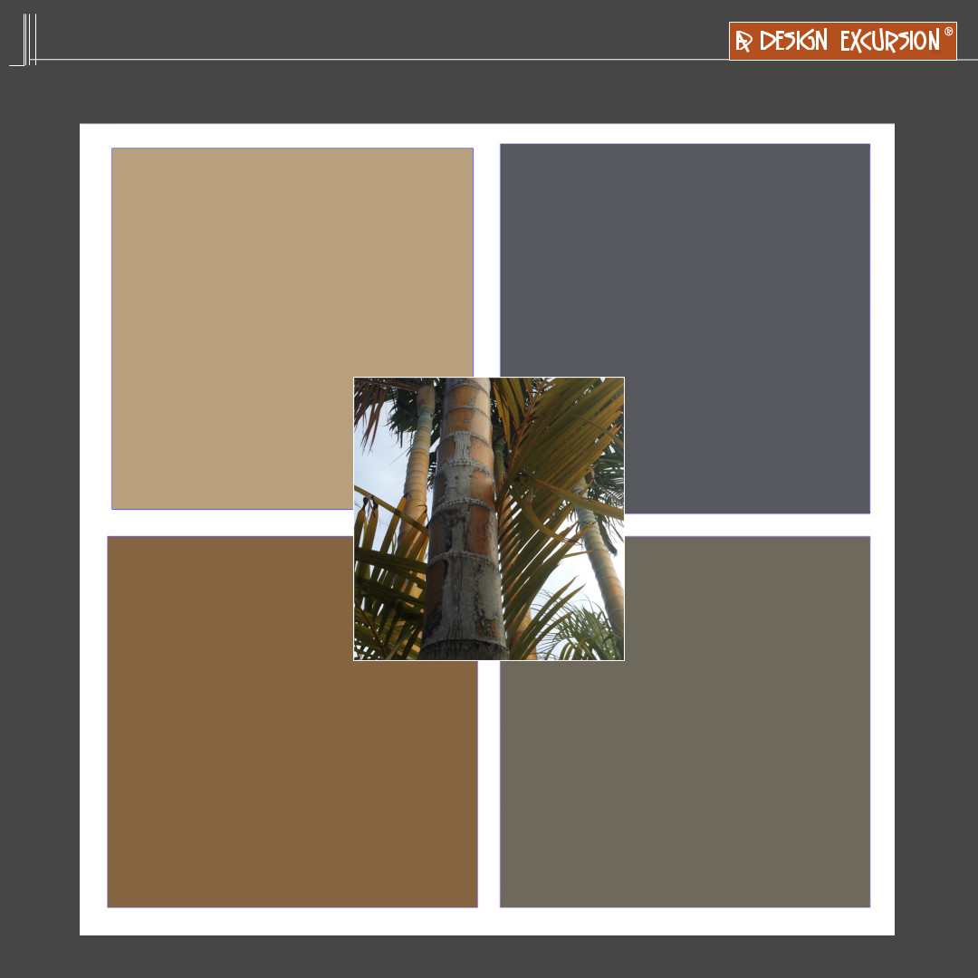 designexcursion's tweet photo. citrone with grey creates a natural feel
#moodboard #inspo #ideas #adesignexcursion #citrone https://t.co/efHnDu8X0K