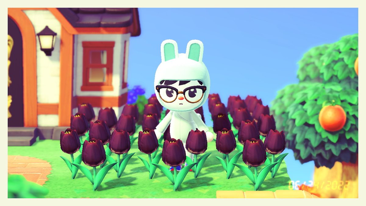 scurredycat's tweet photo. ō_ō #AnimalCrossing #ACNH #NintendoSwitch https://t.co/V7Nz1Zafpd