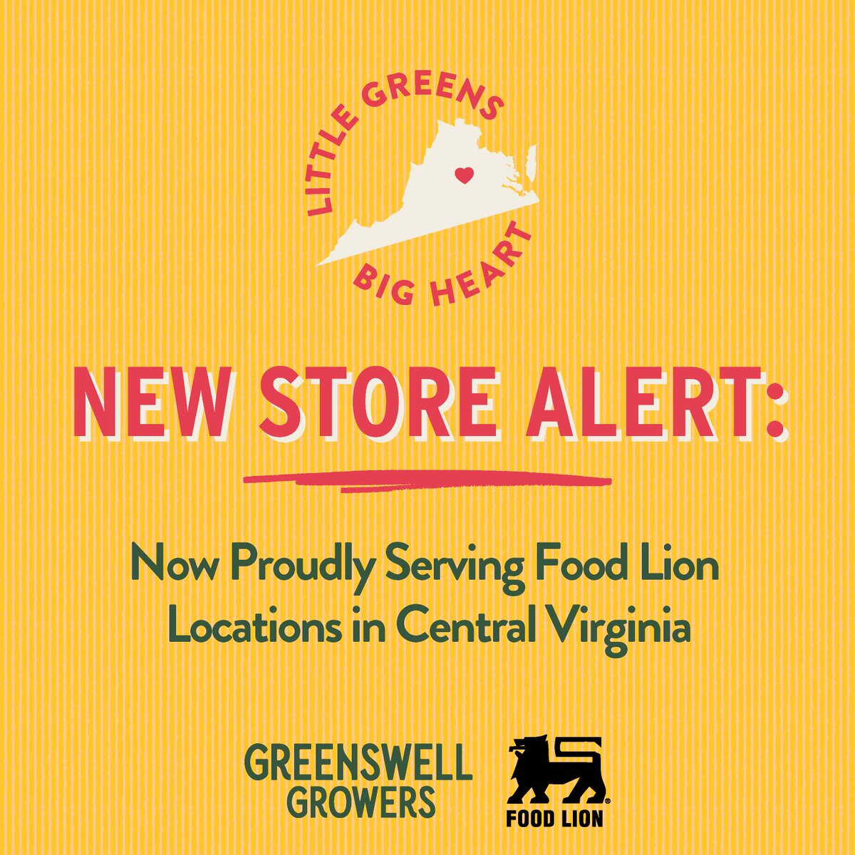 You can now score the freshest and tastiest greens in all the land at your friendly Food Lion grocery store in Central Virginia. Use our handy store locator to find just the right spot to fill your plate with our greenhouse grown greens! Get started here: greenswellgrowers.com/store-locator