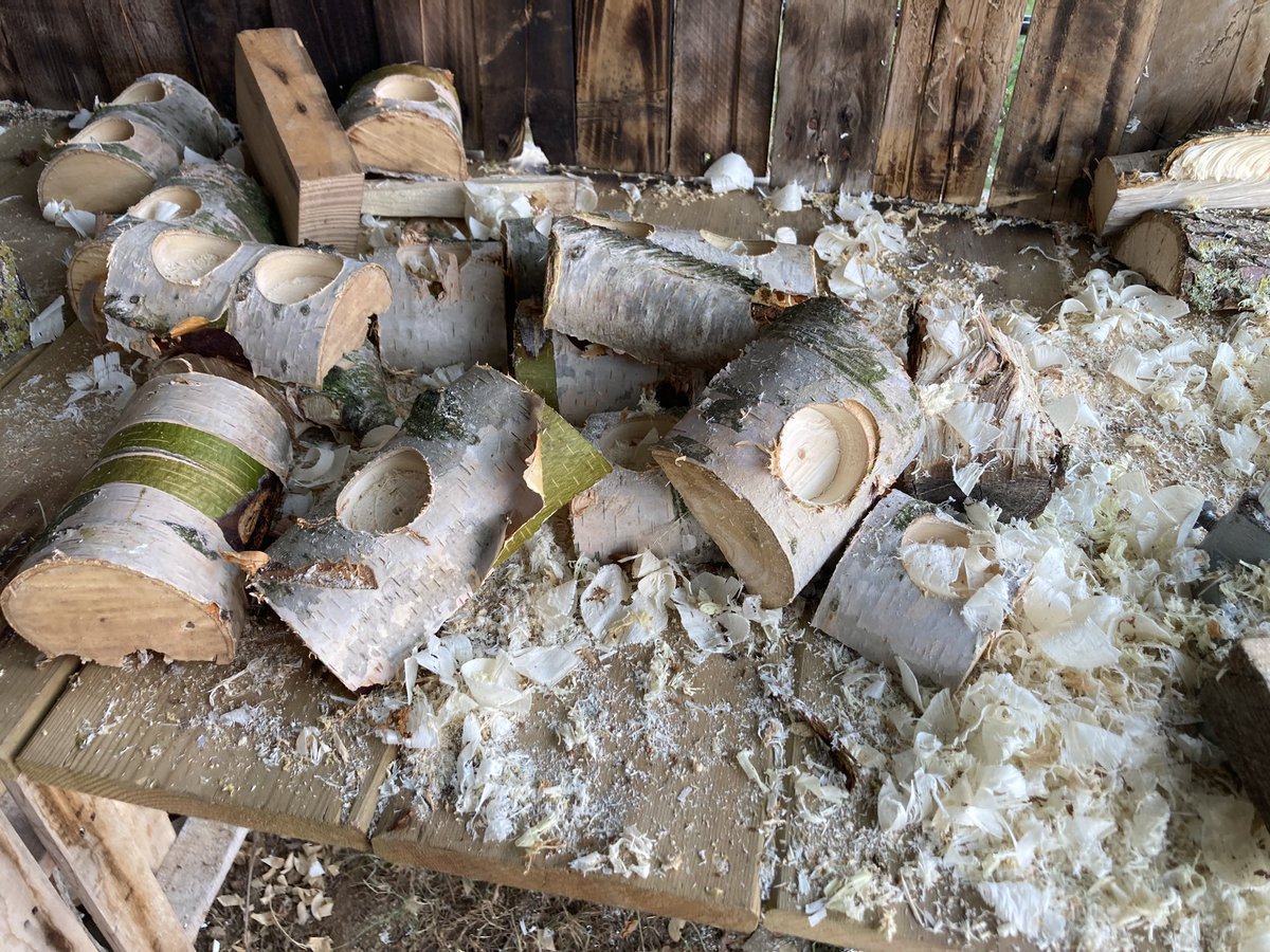BushcraftersCIC's tweet photo. This week 935 children have been outside with Back to Basics, 3 staff at HPS were paediatric First Aid Trained.
9 staff at  @OrmesbySchools were Emergency First Aid in Schools trained
90 pupils have been learnt first aid 
2 clubs have fired rifles 
270 children have thrown axes https://t.co/5yhEOCYj9v