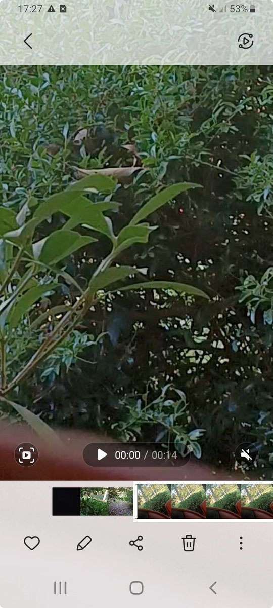 Alicia.OG.Burdue tweet media