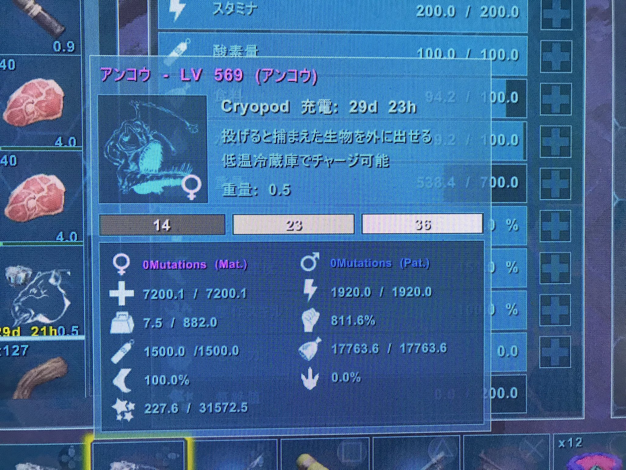 ぬこ Nuco Z Twitter