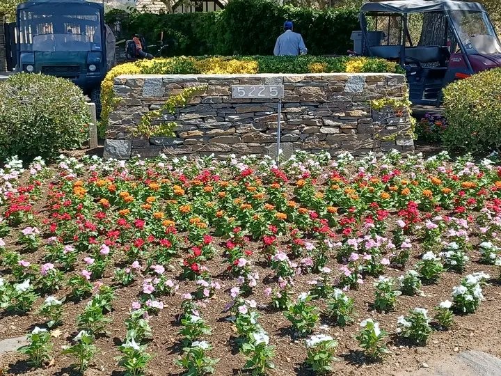 sebasmjjj's tweet photo. Neverland en estos momentos.

Los jardineros del lugar trabajaron arduamente esta semana para preparar la puerta para el aniversario del fallecimiento de Michael Jackson mañana 25 de junio. Neverland no está abierto al público pero se les permitió a los fans dejar dedicatorias. https://t.co/vYz3ARgHHf