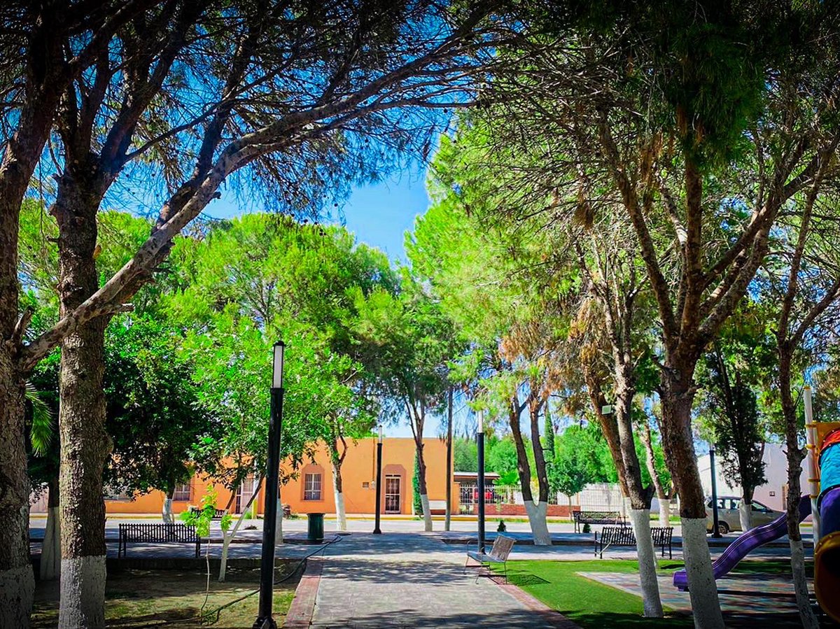 licoquintanilla's tweet photo. ✅🌳 Mejorando nuestras espacios de convivencia.
La plaza de la #VilladeProgreso es muy bonita y con los trabajos que se están realizando quedará súper bonita!!
¡¡Cuidémosla, es de todos!!
🌳🌳🌳🌳
En verdad que ATM se ve
#ProgresoAvanzaEnGrande ✅ https://t.co/ioP1GH7YR4
