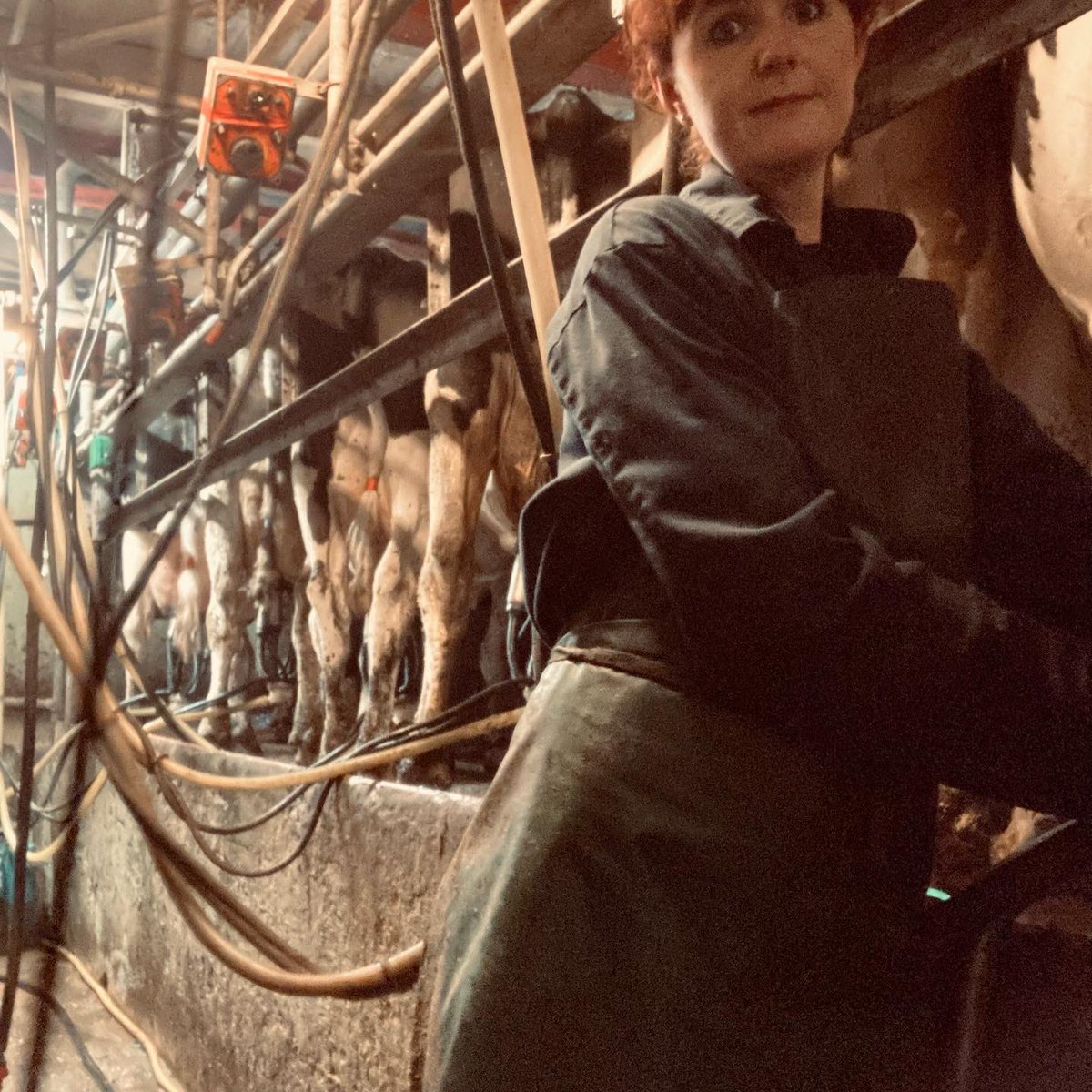 bernardsfarmuk's tweet photo. ๐ผ Workinโ 9 to 5 ๐ผ
#SaidNoFarmerEver #Workin5ToMidnight ๐ช
How much can you fit into 1 day? 25 drops this evening. Not bad for a โhobby farmerโ ๐ ๐ฅฉ ๐ฅ ๐ฉโ๐พ
Summer 2022 pork boxes over & out
๐๐๐ฉโ๐พ๐๐ฅ #EatSleepFarmRepeat #EggClub #FarmProduce #HillFarm #OutdoorPork https://t.co/Jqx3sVTRzg