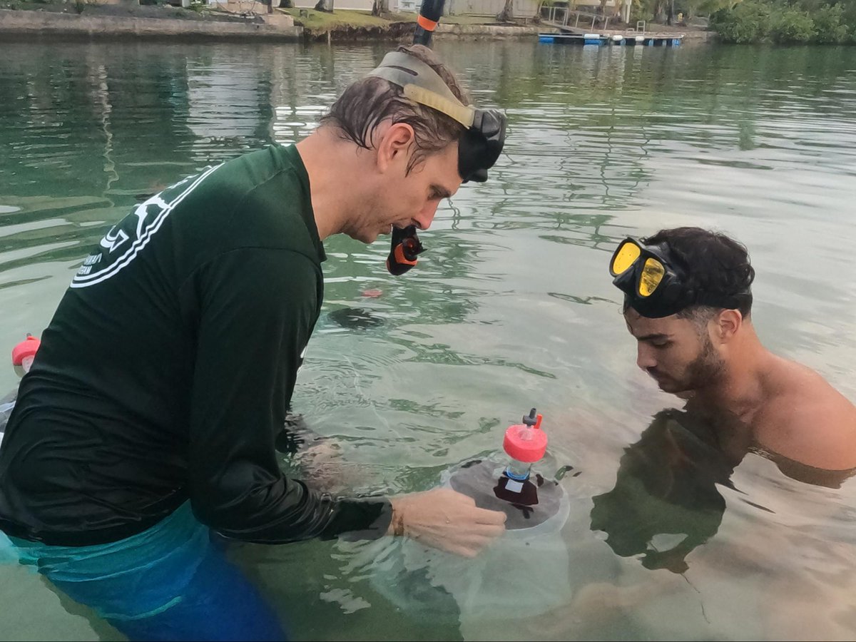 CoralResilience's tweet photo. Weโve had some early success for #Spawnathon2022! Last month we produced over 1 million Montipora capitata (Rice Coral) larvae. Weโre looking forward to Round 2 next week!
Here are a few of the experiments we are attempting this summer spawning season: https://t.co/SGtAclys6T