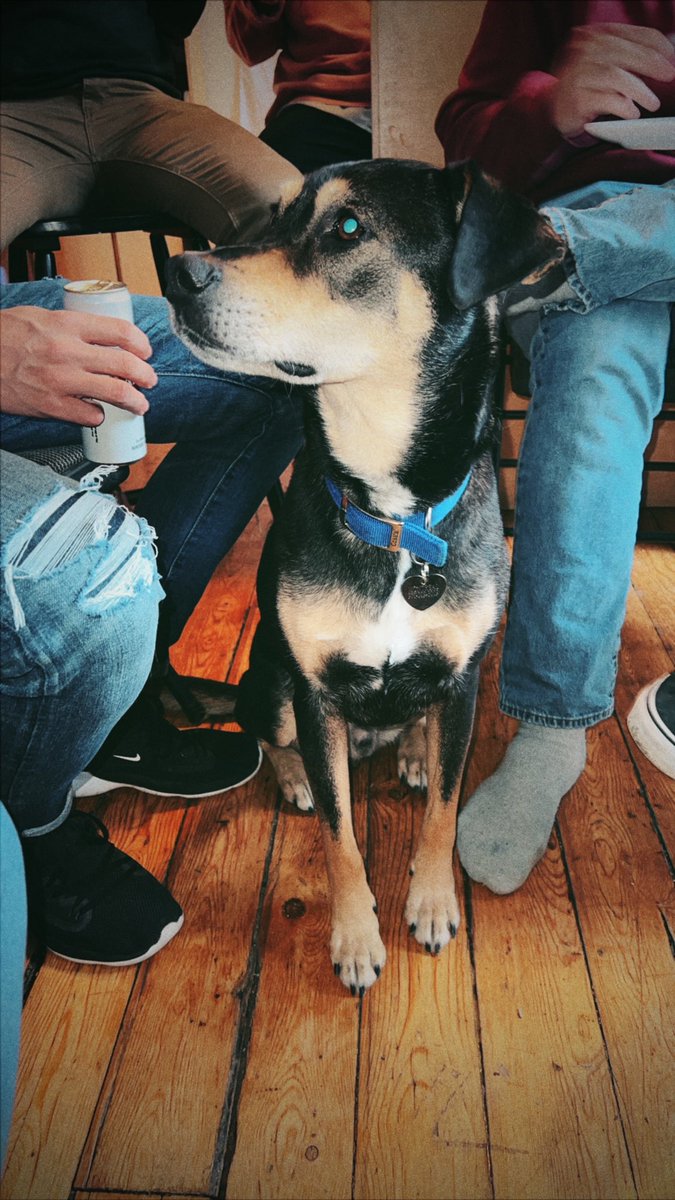 Dispos Only tweet media