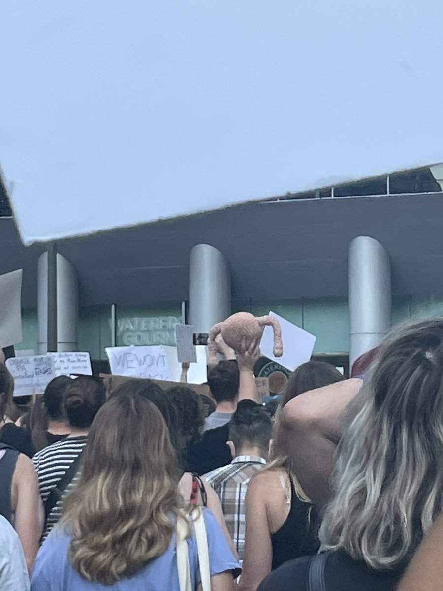 amyignatow's tweet photo. Appreciation for the protestor who is wielding a crocheted uterus https://t.co/xwNh5JxoFJ