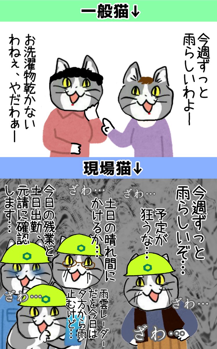 「差し障りのない会話」として有名な天気の話、現場猫にとっては死活問題 #現場猫 