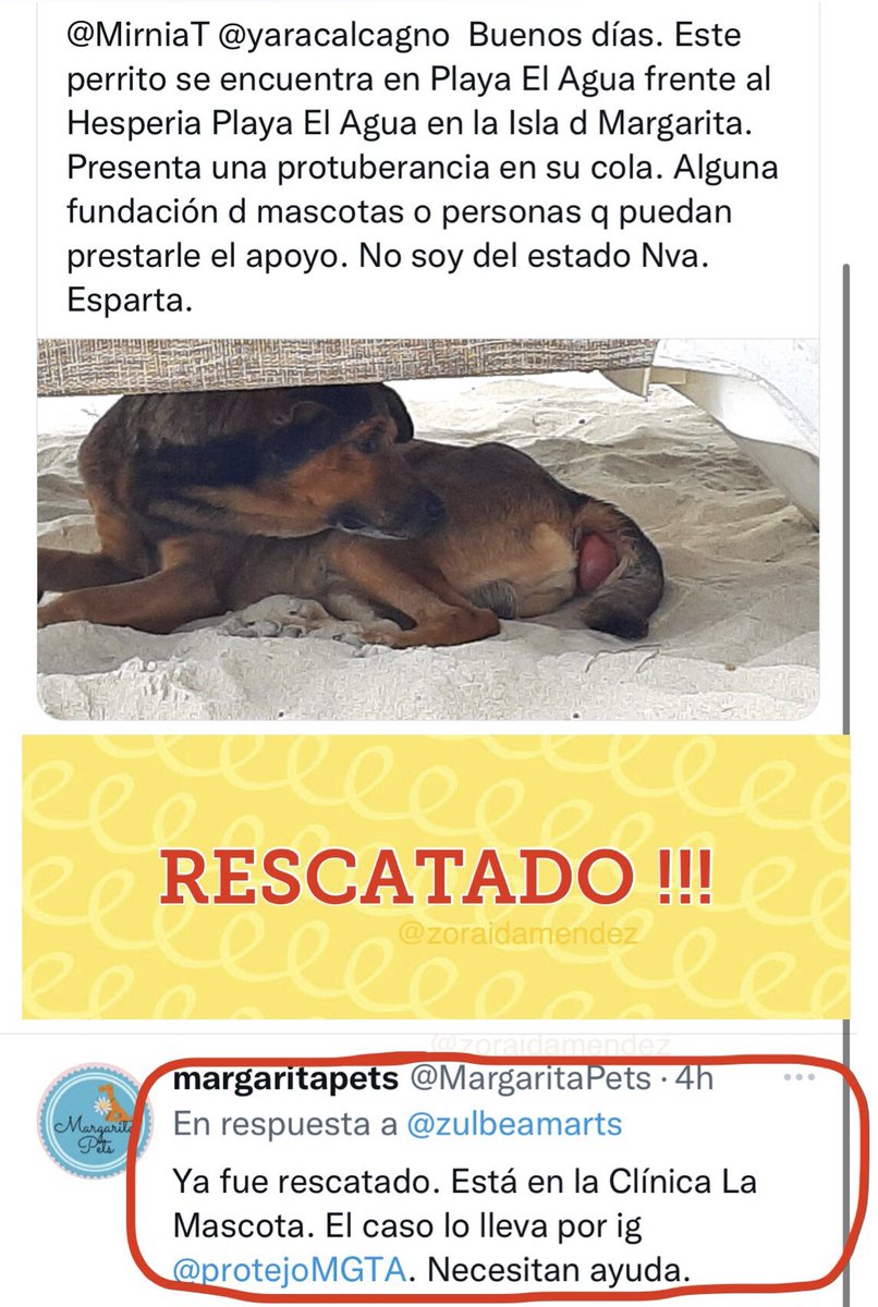 María Zoraida Méndez tweet media