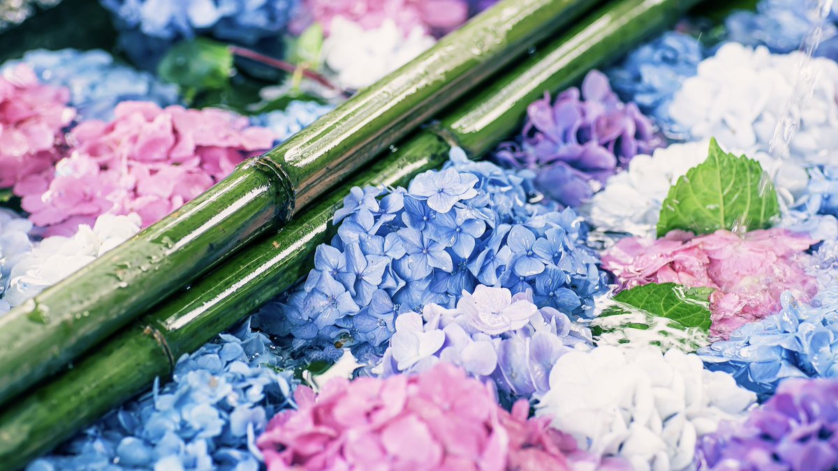 花手水に癒されて今日も素敵な日を✿*: