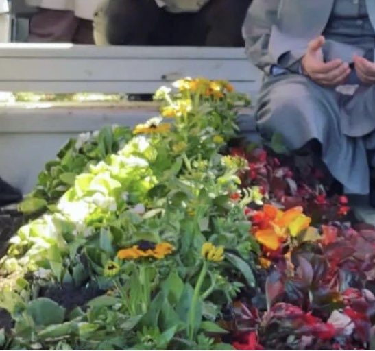 #MahmudEfendiHazretleri 
Bir zemân olsun bana seng-i mezârım tercemân, Ben yoruldum söylemekten tercemânım söylesin. (M.Nâcî)

[Bir müddet de mezar taşım bana tercüman olsun. Ben söylemekten yoruldum, tercümanım söylesin.]